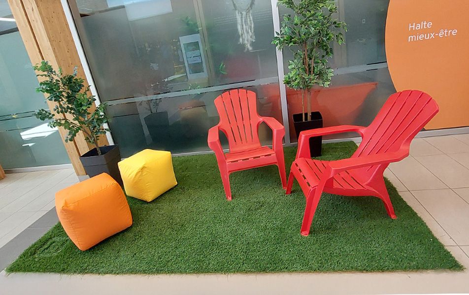 espace aménagé avec chaises Adirondack, poufs et plantes artificielles